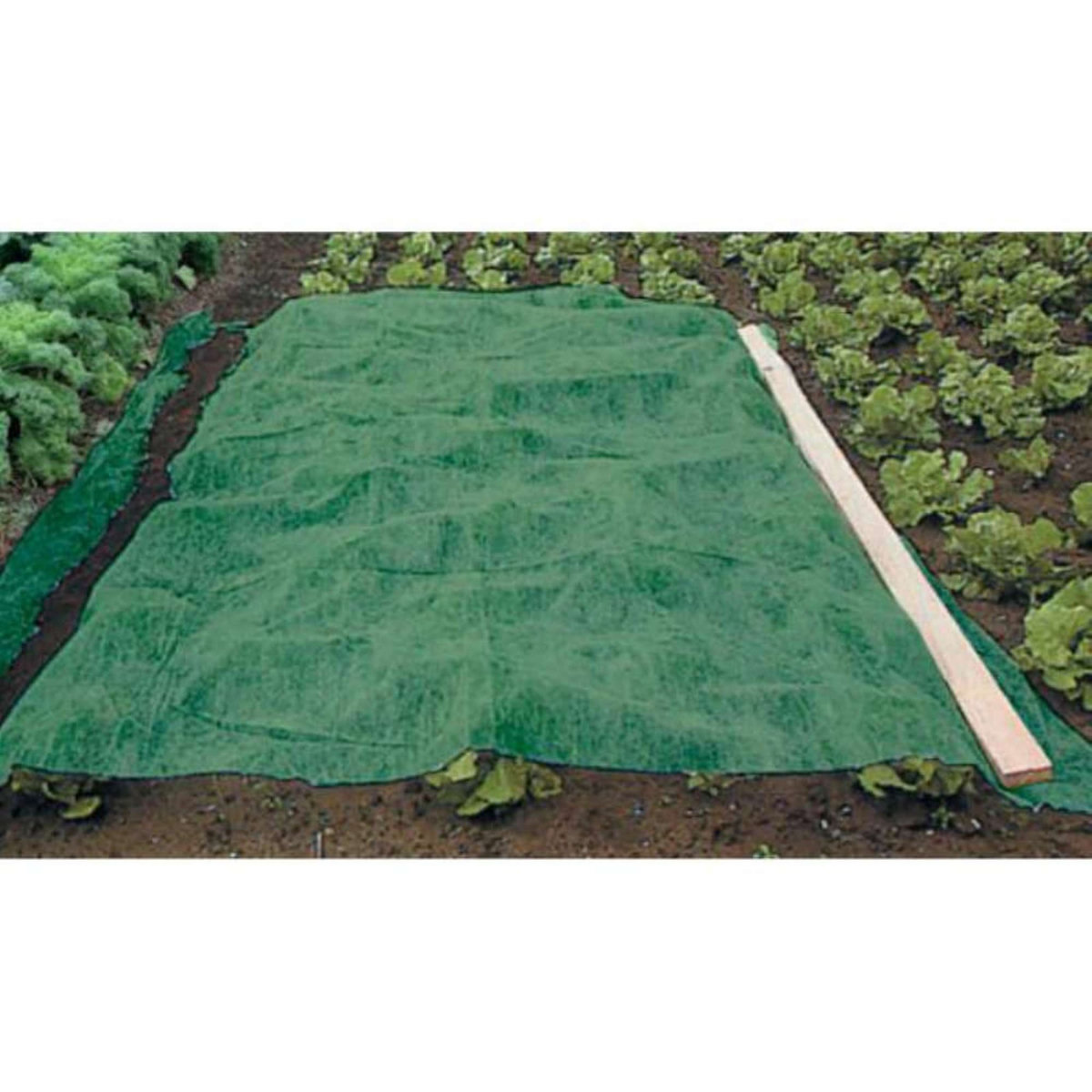  Voile d'hivernage vert 90g-m2 2 x 5m