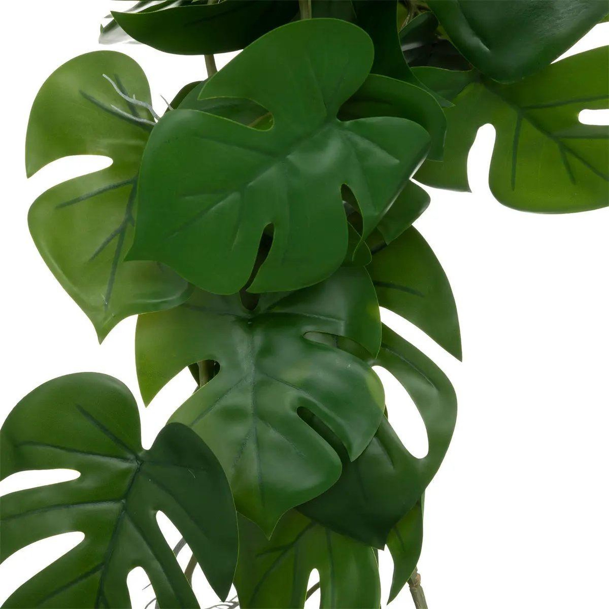 Voir la diapositive 2 : ATMOSPHERA Tige plante artificielle  monstera gala  85cm vert