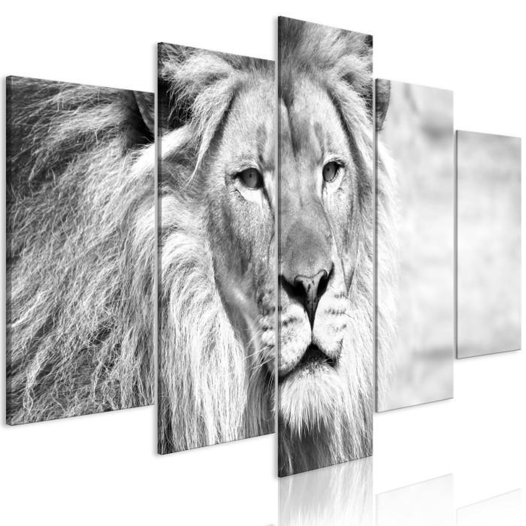 Paris Prix Tableau 5 Panneaux  The King of Beasts Wide Black & White. Coloris disponibles : Multicolore