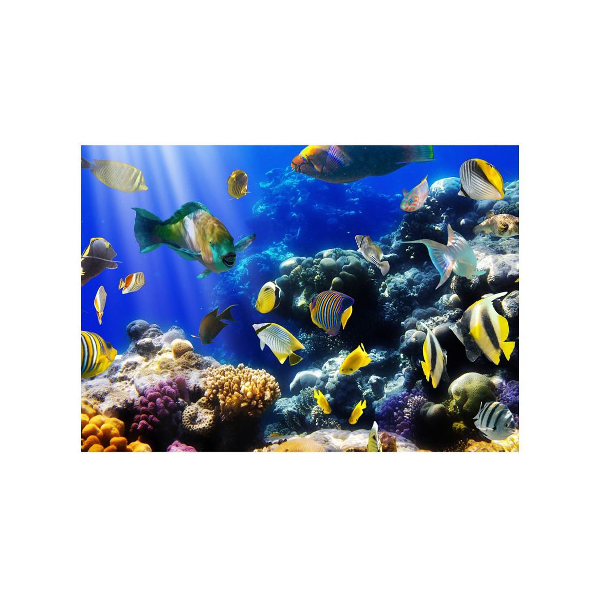 Voir la diapositive 2 : Paris Prix Papier Peint  Underwater Adventure