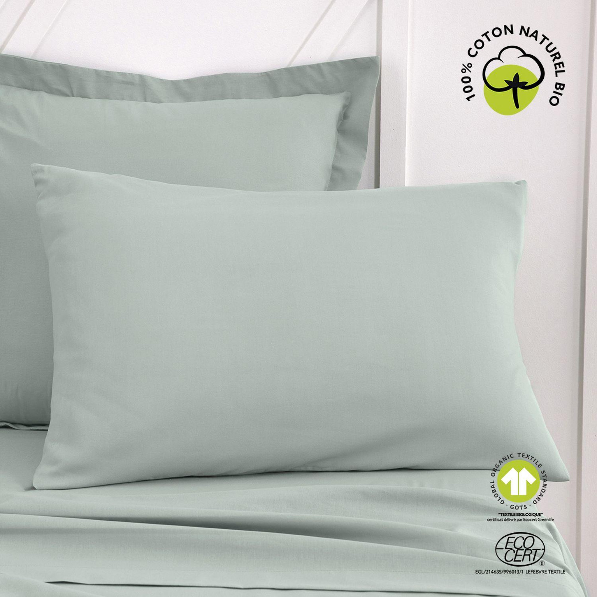 Voir la diapositive 2 : Today Taie d'oreiller rectangulaire - 100% coton BIO