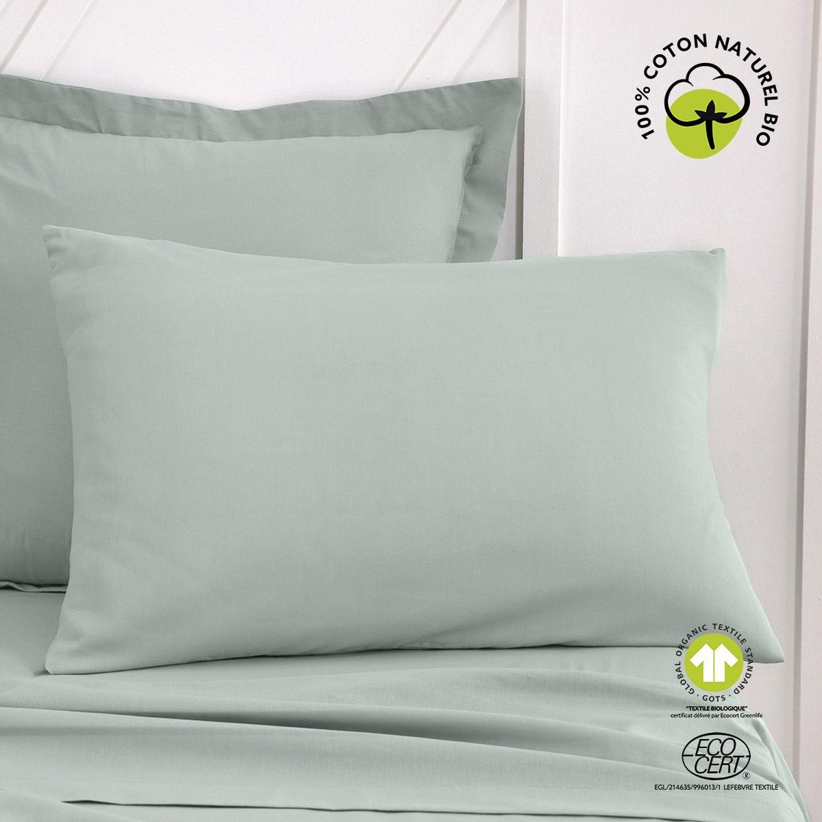 Today Taie d'oreiller rectangulaire - 100% coton BIO
