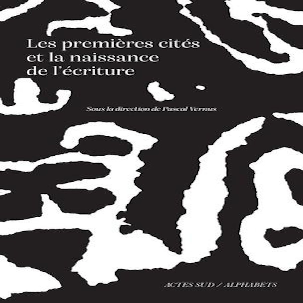 LES PREMIERES CITES ET LA NAISSANCE DE L'ECRITURE, Vernus Pascal