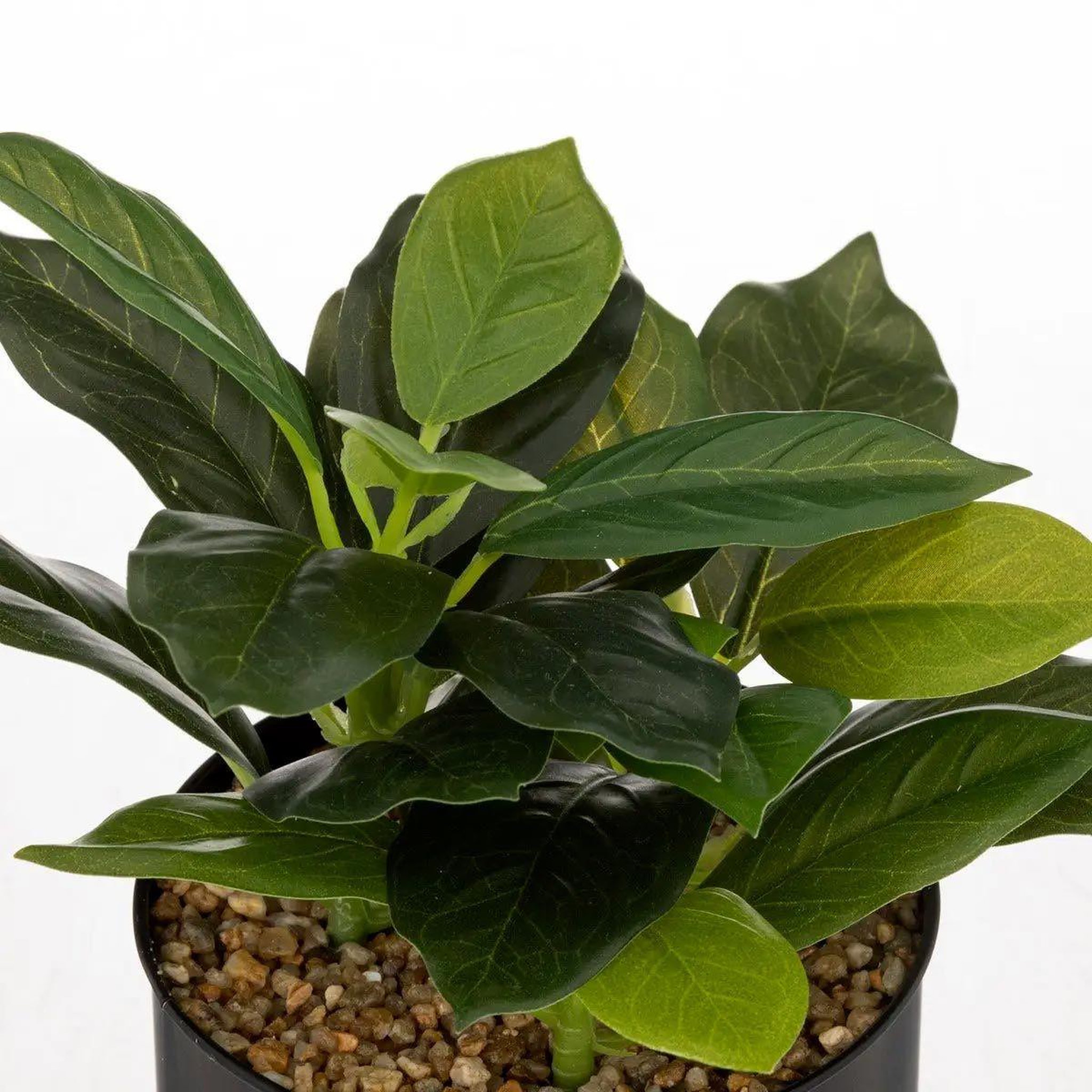 Voir la diapositive 3 : ATMOSPHERA Plante artificielle en pot  cosy  20cm noir & vert