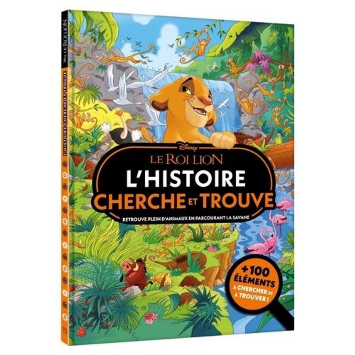 LE ROI LION. L'HISTOIRE CHERCHE ET TROUVE, Disney