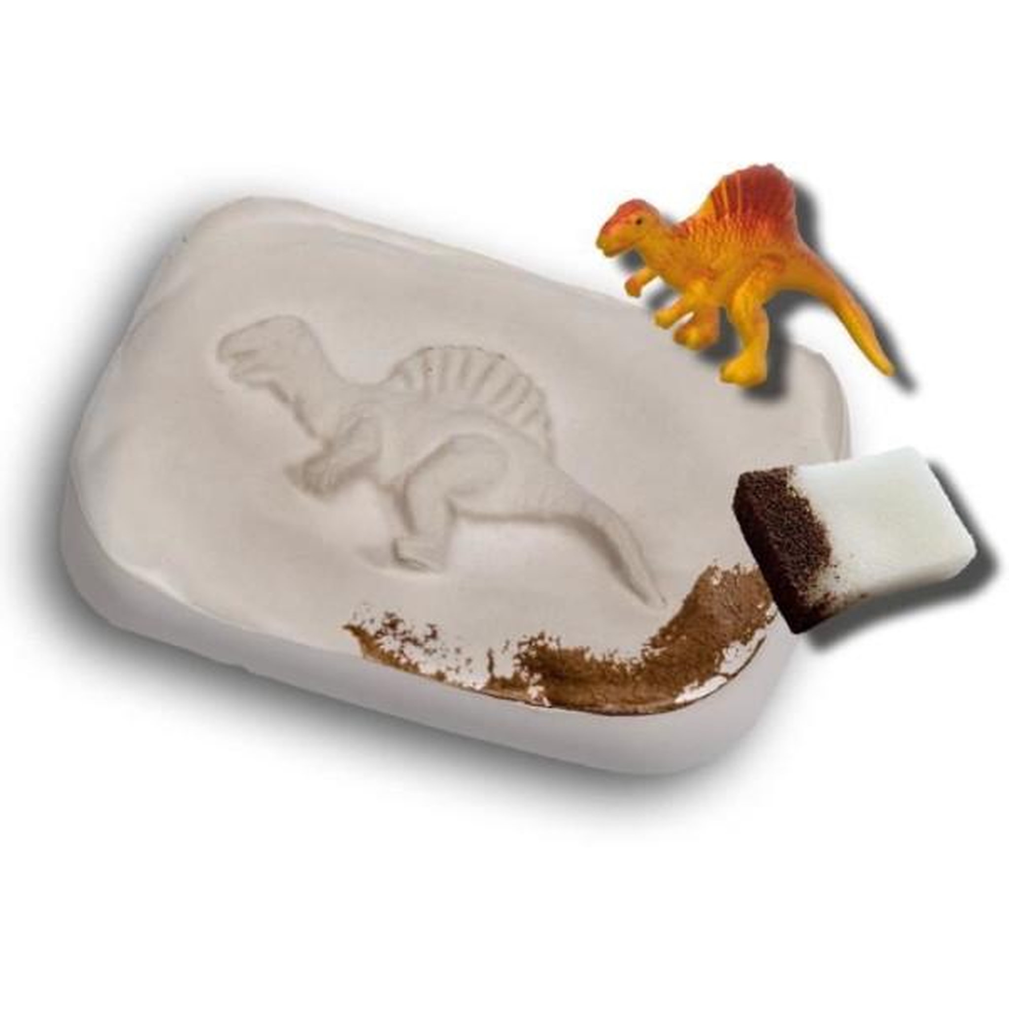 Voir la diapositive 5 : SES Creative Jeu scientifique - Fossiles de dinosaures - SES CREATIVE