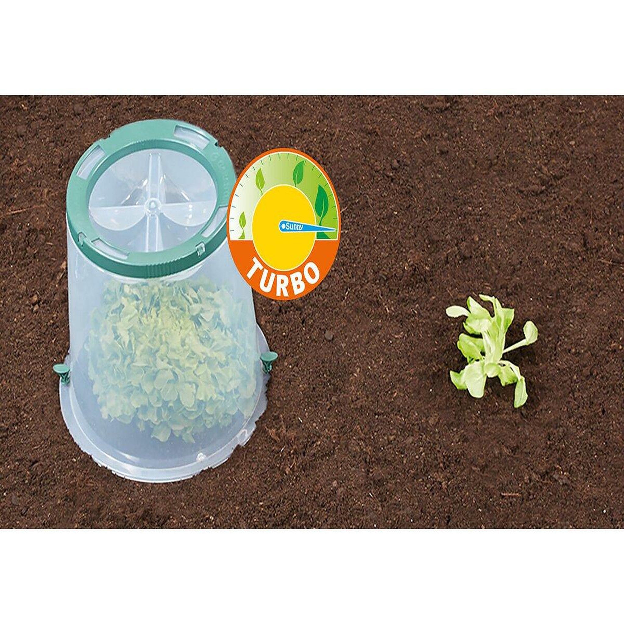 Voir la diapositive 3 : Habitat et Jardin Kit de 3 cloches de culture  Sunny