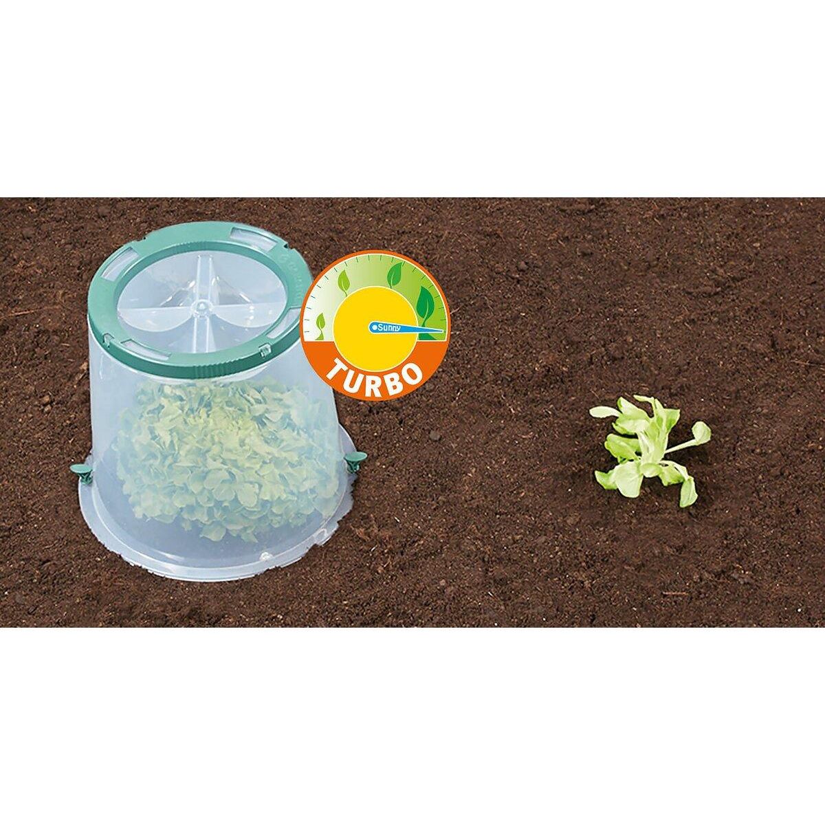Habitat et Jardin Kit de 3 cloches de culture  Sunny