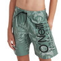Voir la diapositive 1 : O'NEILL Short de bain Vert Garçon O'Neill Circle Surfers