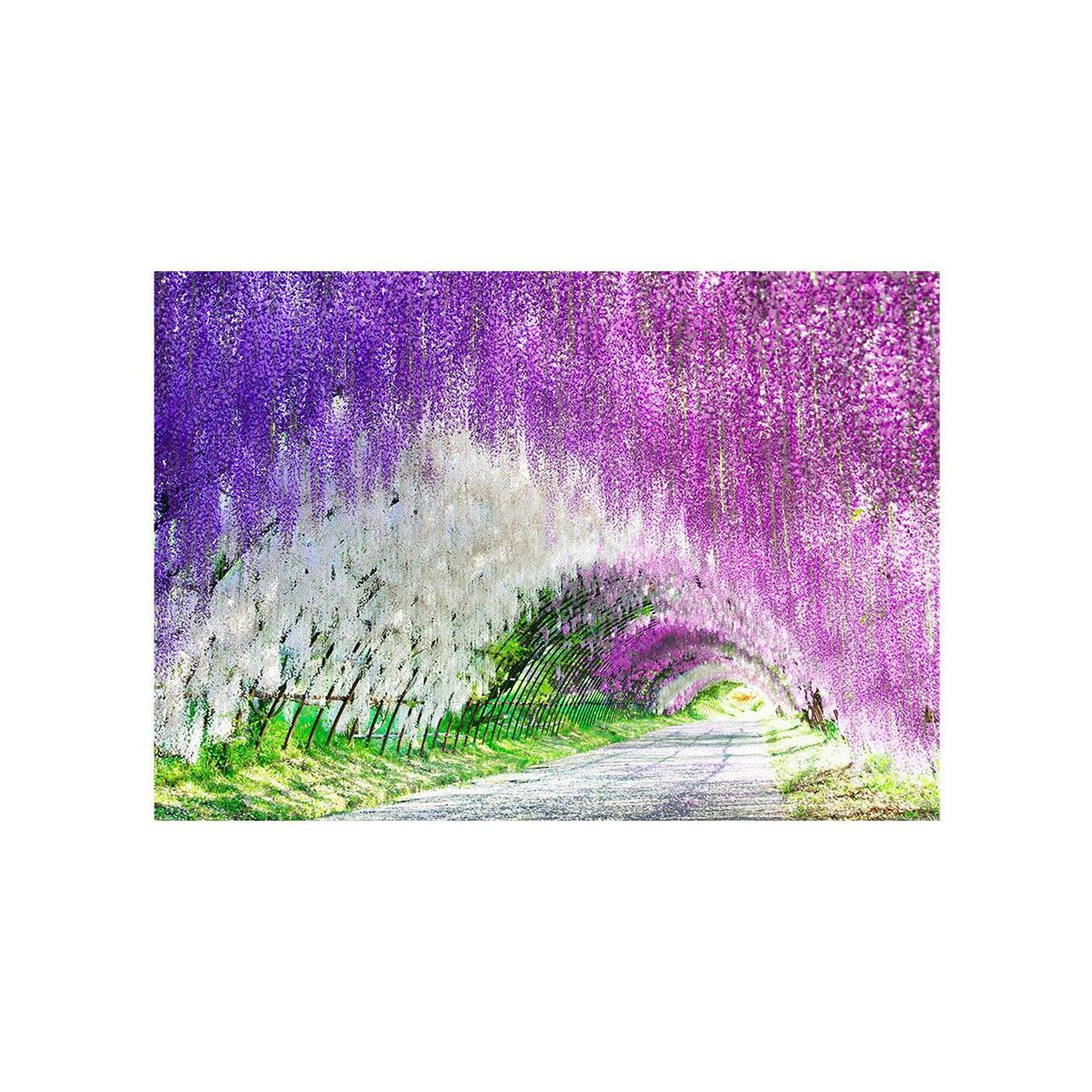 Voir la diapositive 2 : Paris Prix Papier peint  enchanted garden