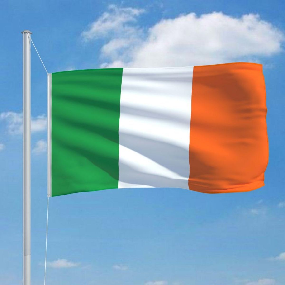 VIDAXL Drapeau Irlande 90x150 cm