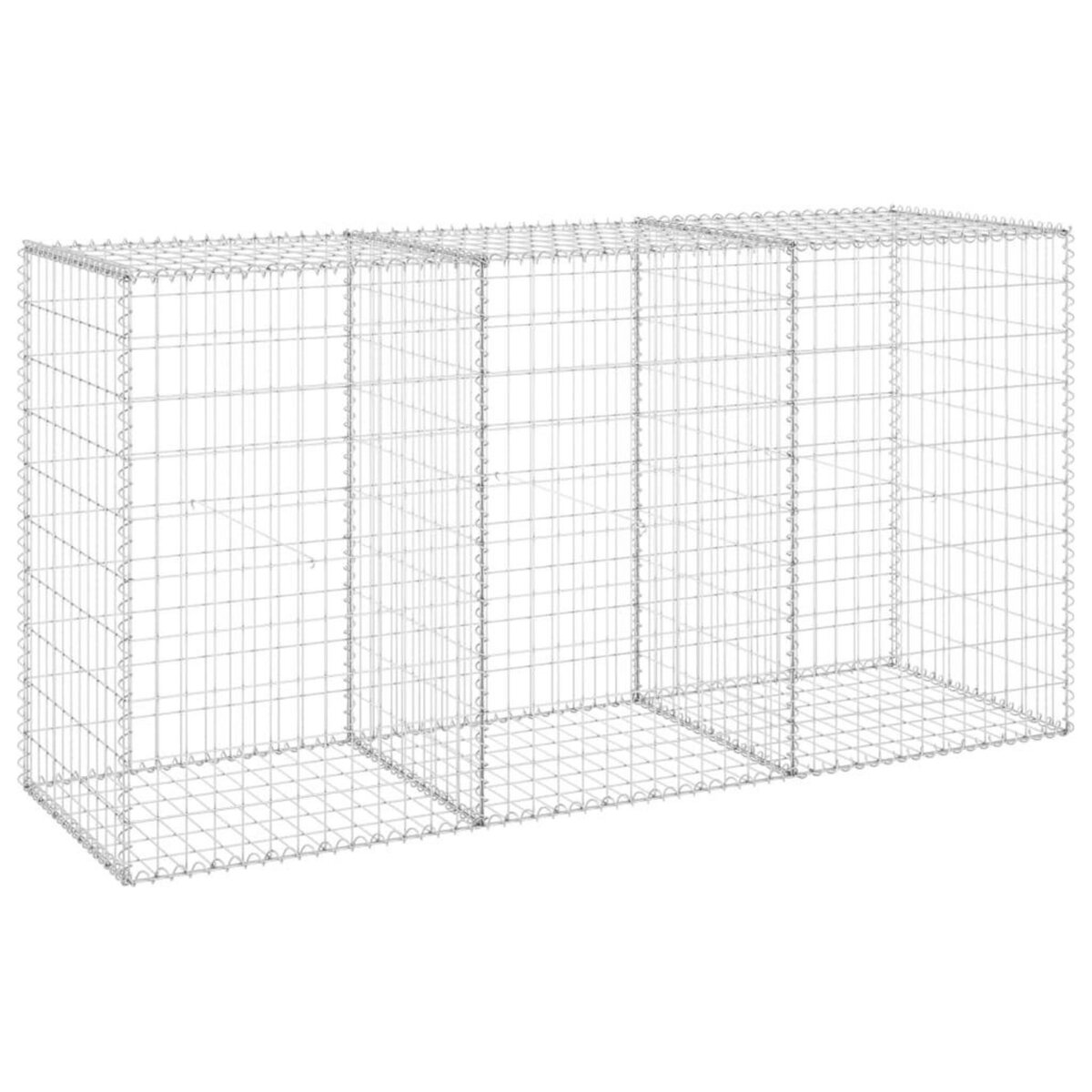 VIDAXL Mur en gabion avec couvercles Acier galvanise 200x60x100 cm