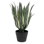 ATMOSPHERA Plante Artificielle Agave  Exotic Panama  55cm Vert