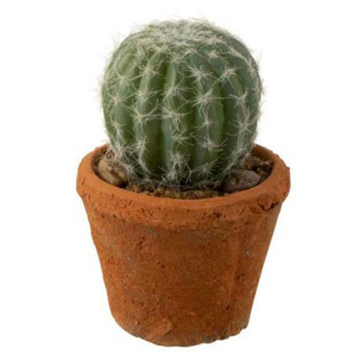 Paris Prix Plante Artificielle en Pot  Cactus  15cm Vert