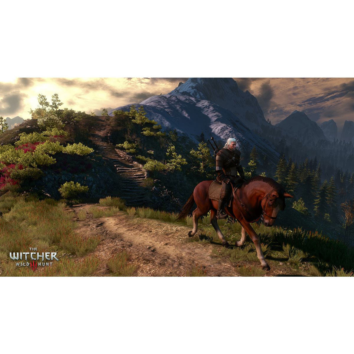 The Witcher 3 : Wild Hunt PS4