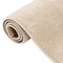 Voir la diapositive 5 : VIDAXL Tapis a poils courts 120x170 cm Beige