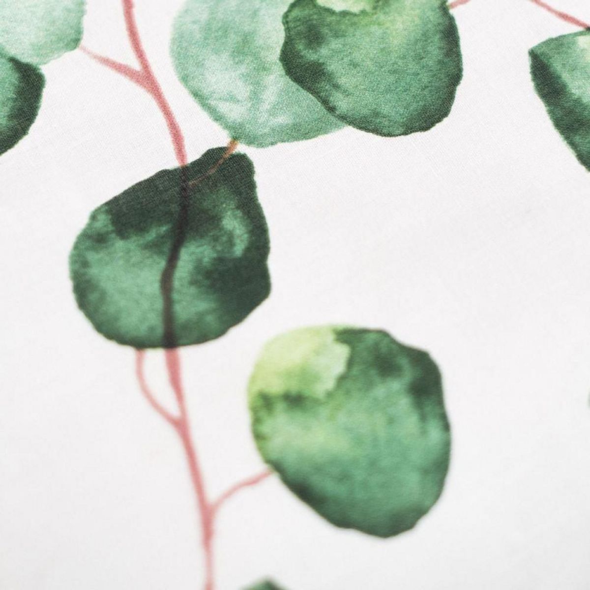 Today Housse de couette 220x240 Crazy 3.18 + 2 taies