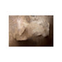 Voir la diapositive 2 : Paris Prix Papier Peint  The Warmth of Your Hand