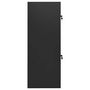 Voir la diapositive 3 : VIDAXL Armoire a selles Anthracite 53x53x140 cm Acier