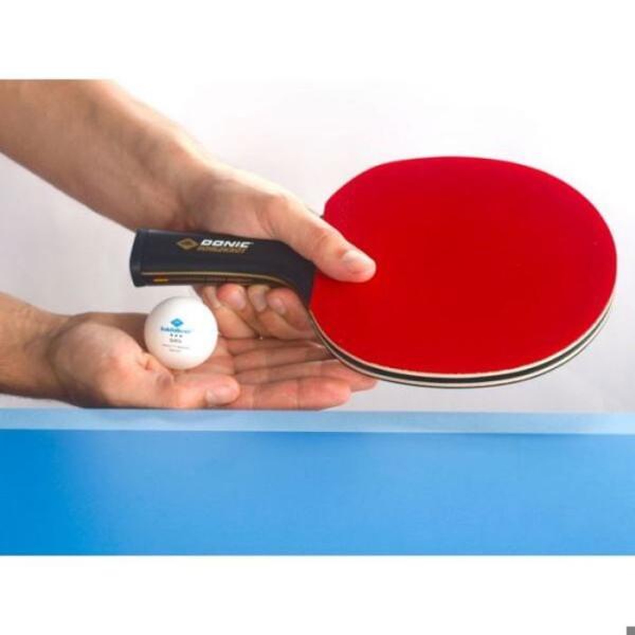 Voir la diapositive 3 : SCHILDKROT Raquette de tennis de table - schildkröt - 758221 - 100% carbone - revetement liga qrc - taille unique