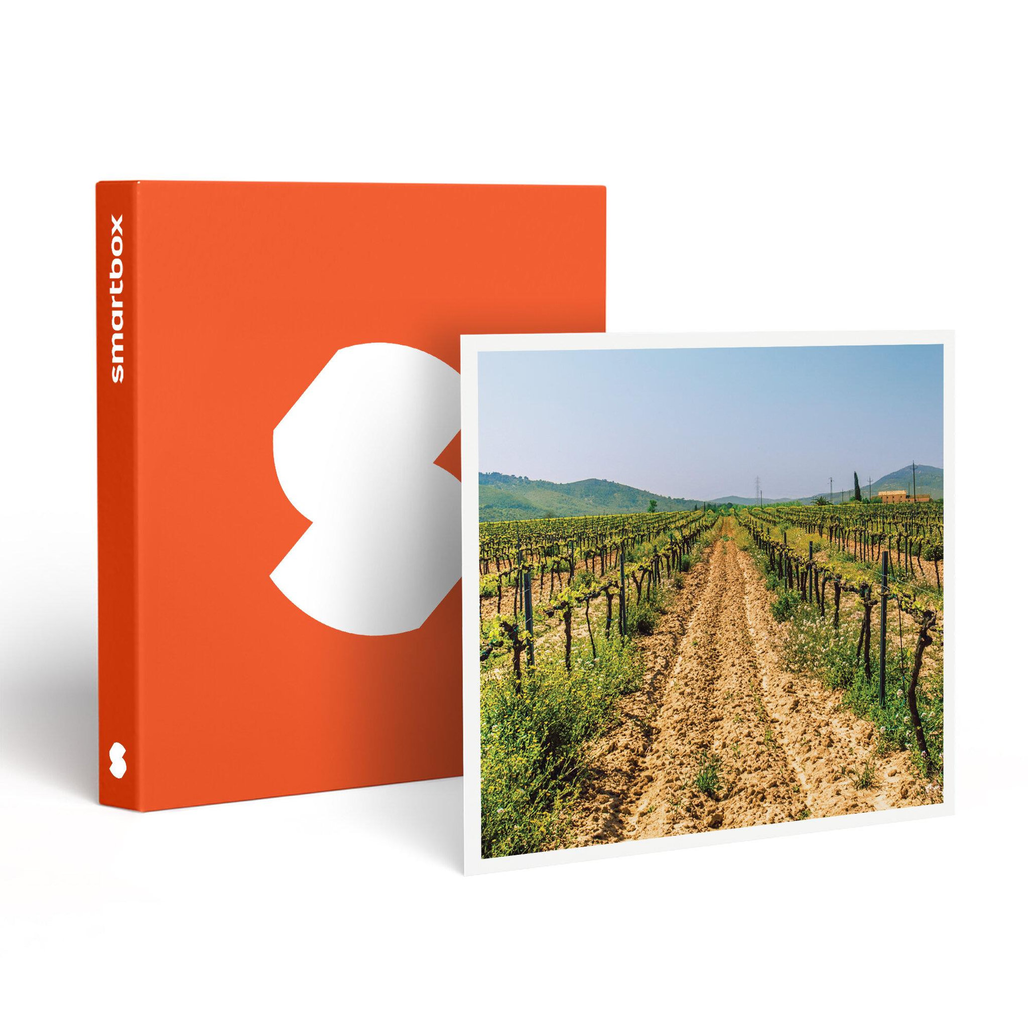 Smartbox Visite du vignoble de la bastide des oliviers et de sa cave avec dégustation pour 2 - coffret cadeau gastronomie