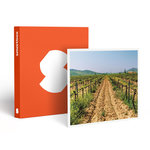 Smartbox Visite du vignoble de la Bastide des oliviers et de sa cave avec dégustation pour 2 - Coffret Cadeau Gastronomie