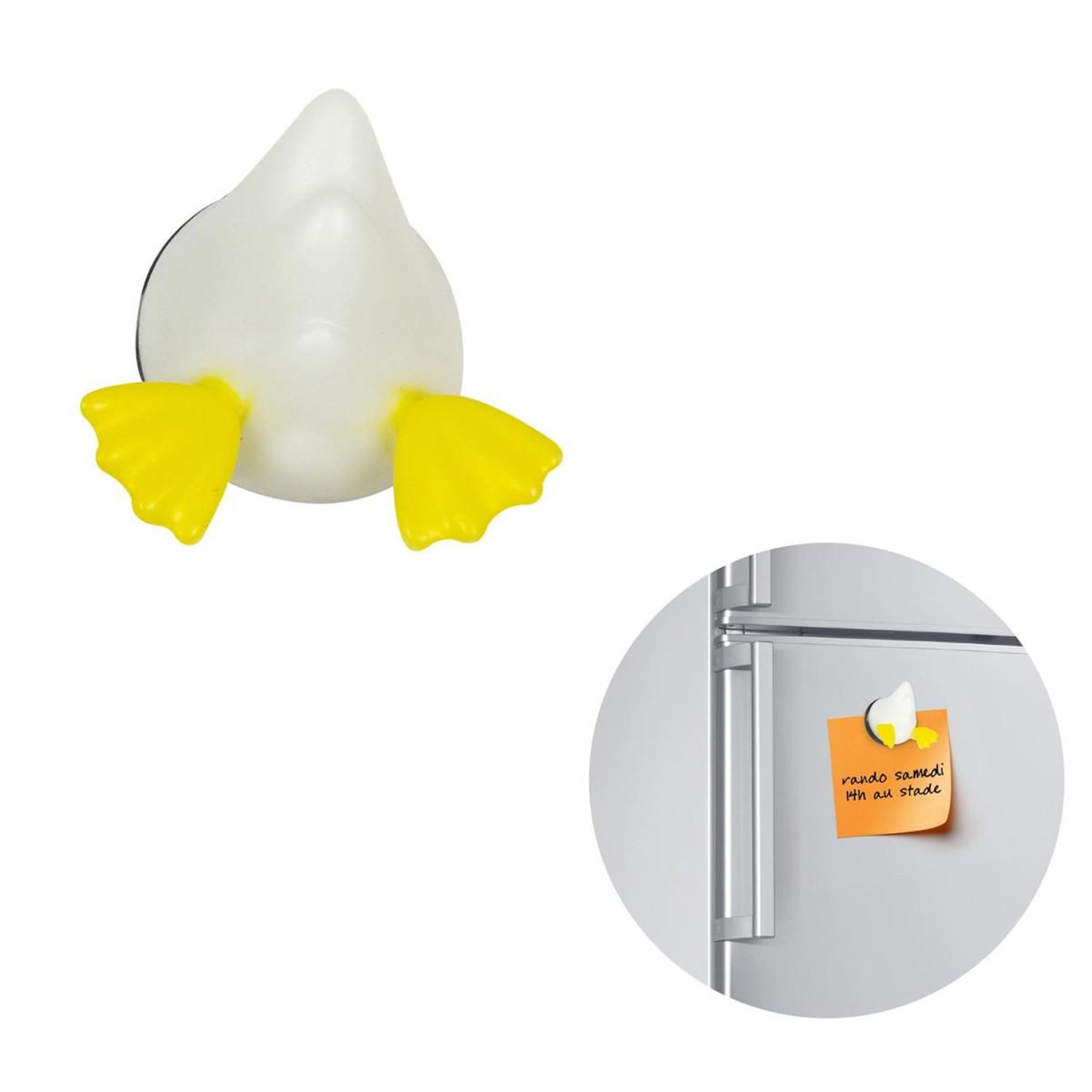 Voir la diapositive 2 : COOK CONCEPT Lot de 3 Magnets  Derrière d'Animaux  5cm Multicolore
