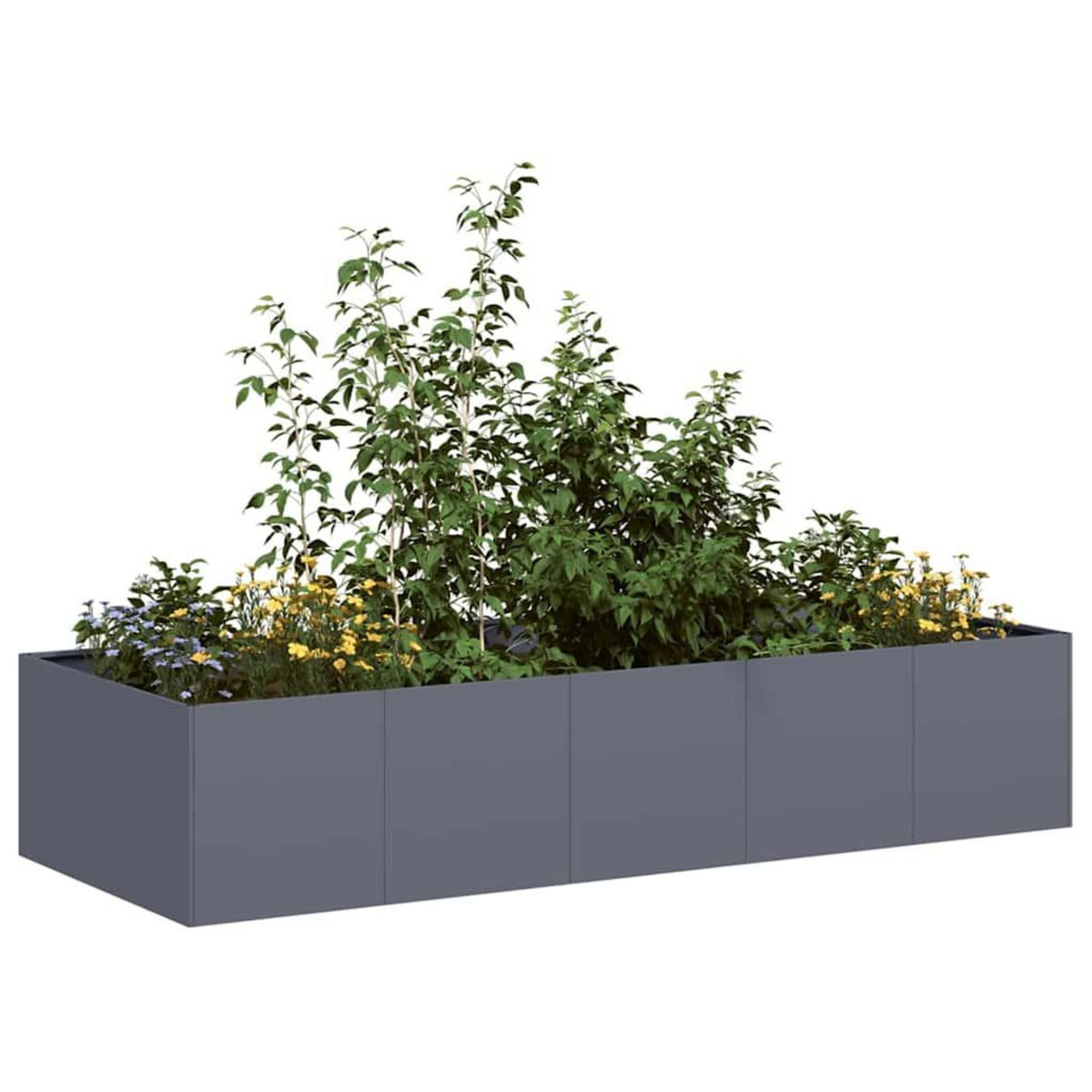 VIDAXL Jardiniere anthracite 200x80x40 cm acier