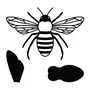 Artemio Matrice de découpe et d'embossage - abeille