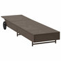 Voir la diapositive 5 : VIDAXL Chaise longue avec roues et coussin marron resine tressee