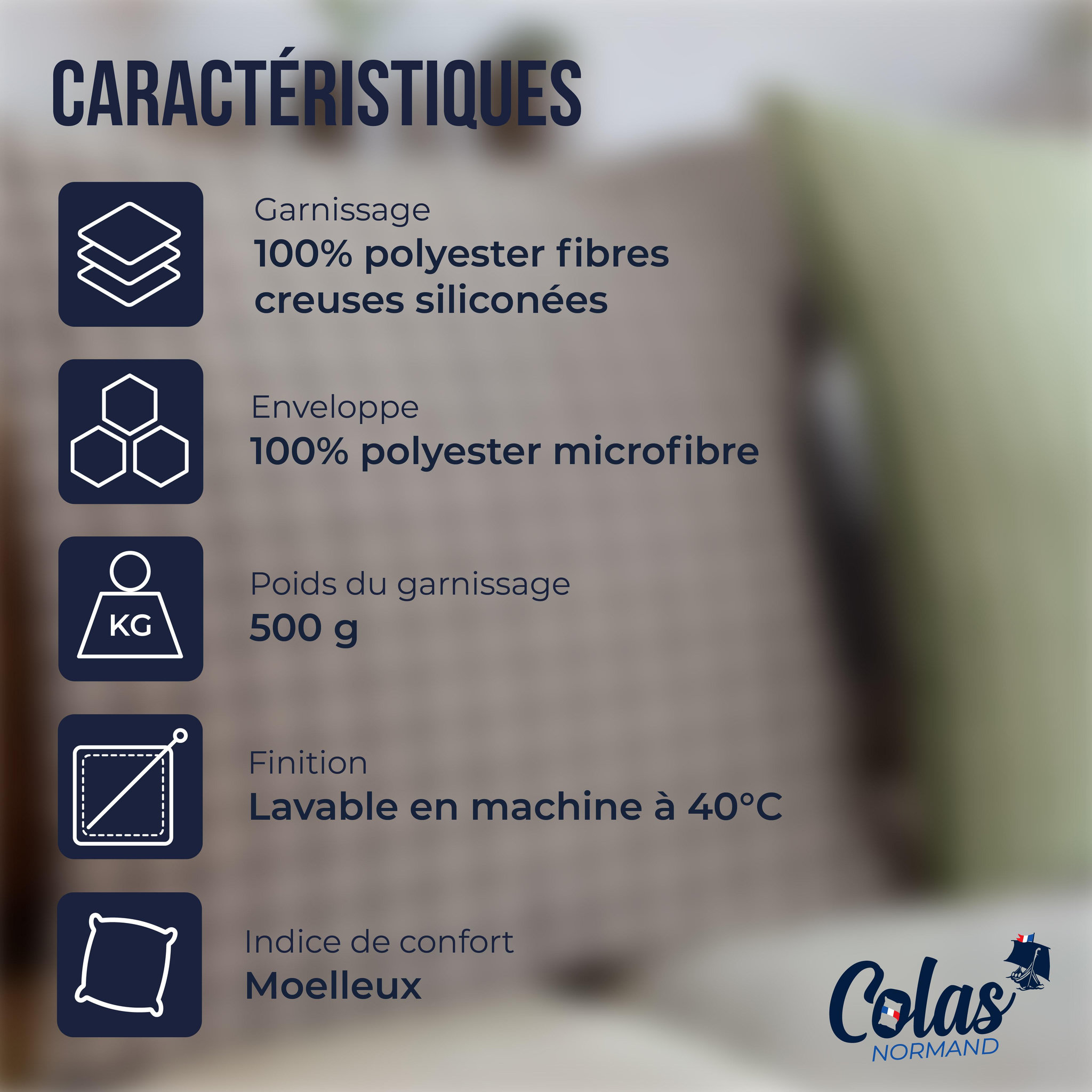 Voir la diapositive 3 : COLAS NORMAND Oreiller moelleux aux motifs vichy 60x60 cm