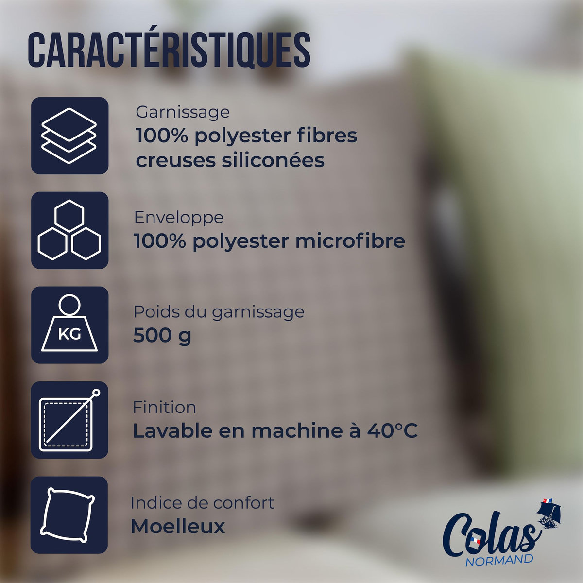 COLAS NORMAND Oreiller moelleux aux motifs vichy 60x60 cm