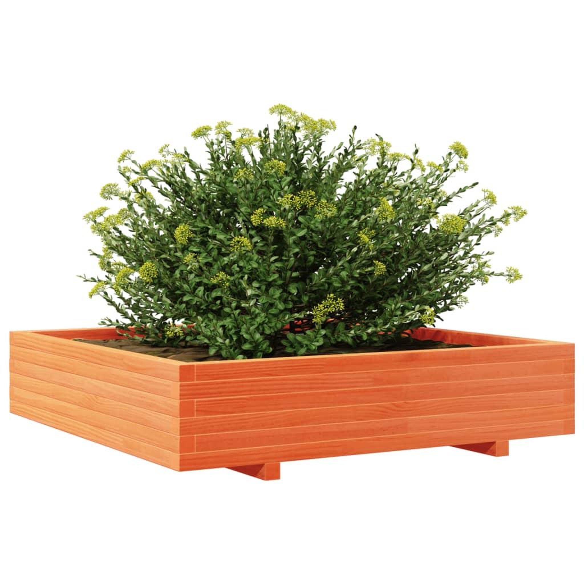 Voir la diapositive 4 : VIDAXL Jardiniere cire marron 110x110x26,5 cm bois de pin massif