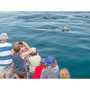 Voir la diapositive 4 : Smartbox Journée de croisière pour 2 près de Lorient à la découverte des dauphins et oiseaux marins - Coffret Cadeau Sport & Aventure
