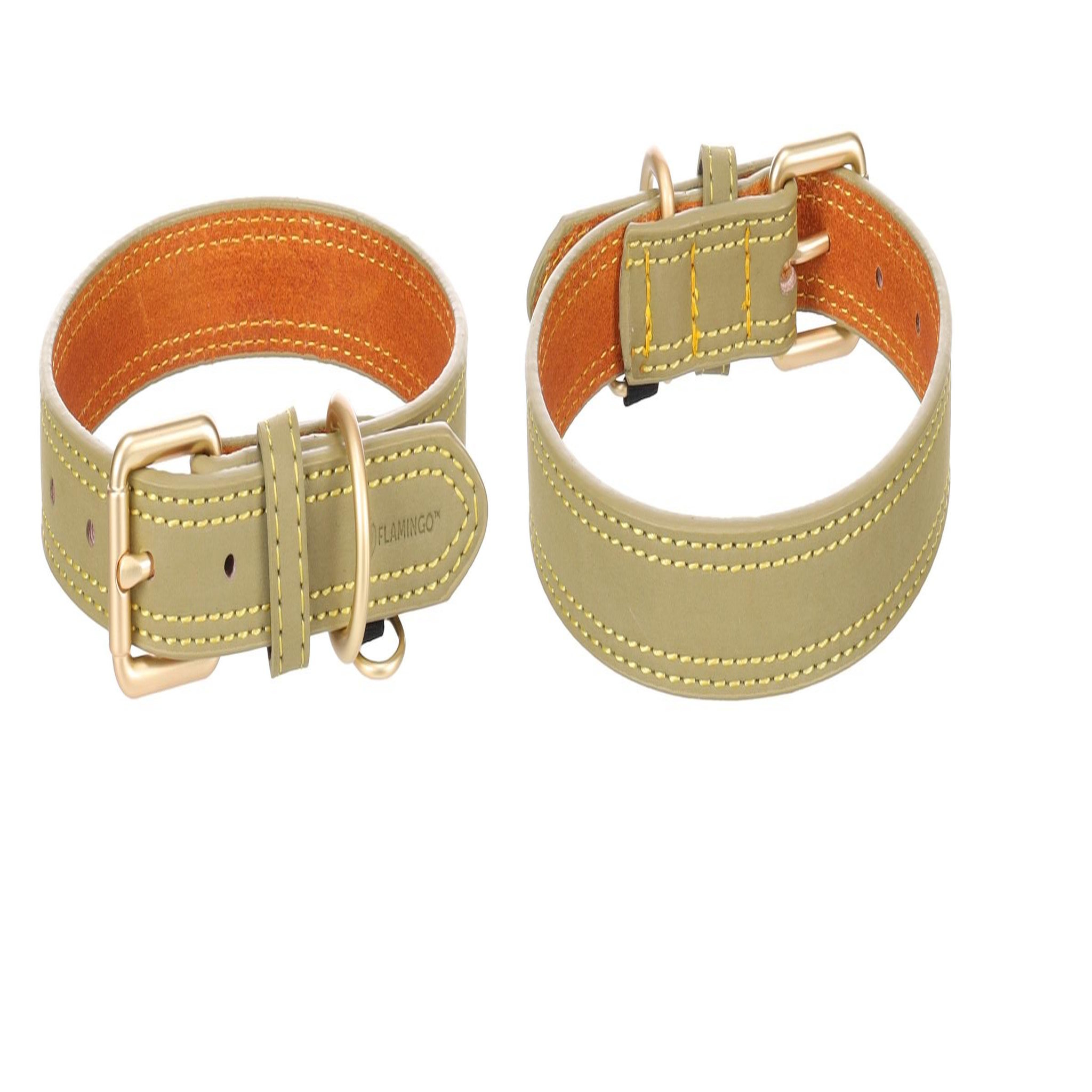 Voir la diapositive 4 : Eden Collier pour chien virginia en cuir
