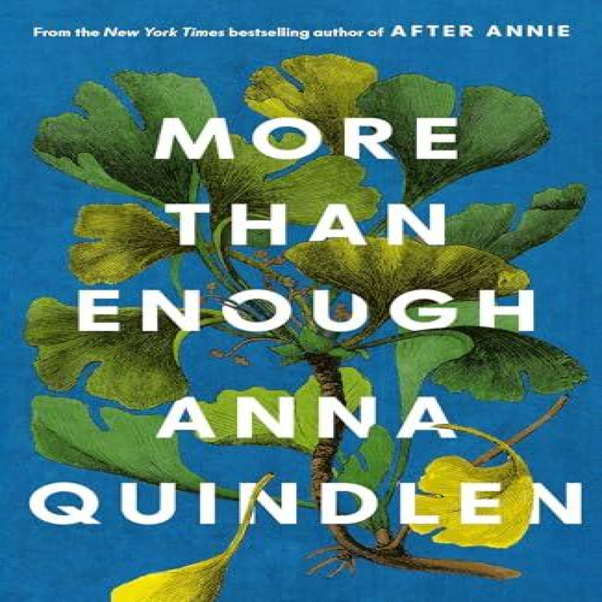LIVRES More Than Enough - Anna Quindlen
