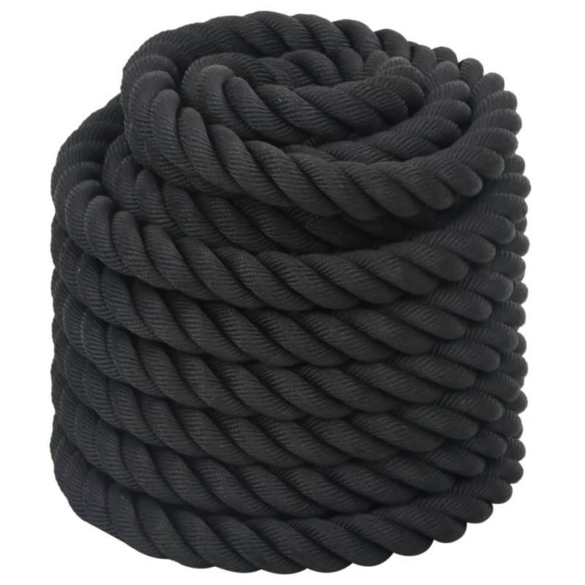 VIDAXL Corde de combat noir 12 m 9 kg polyester