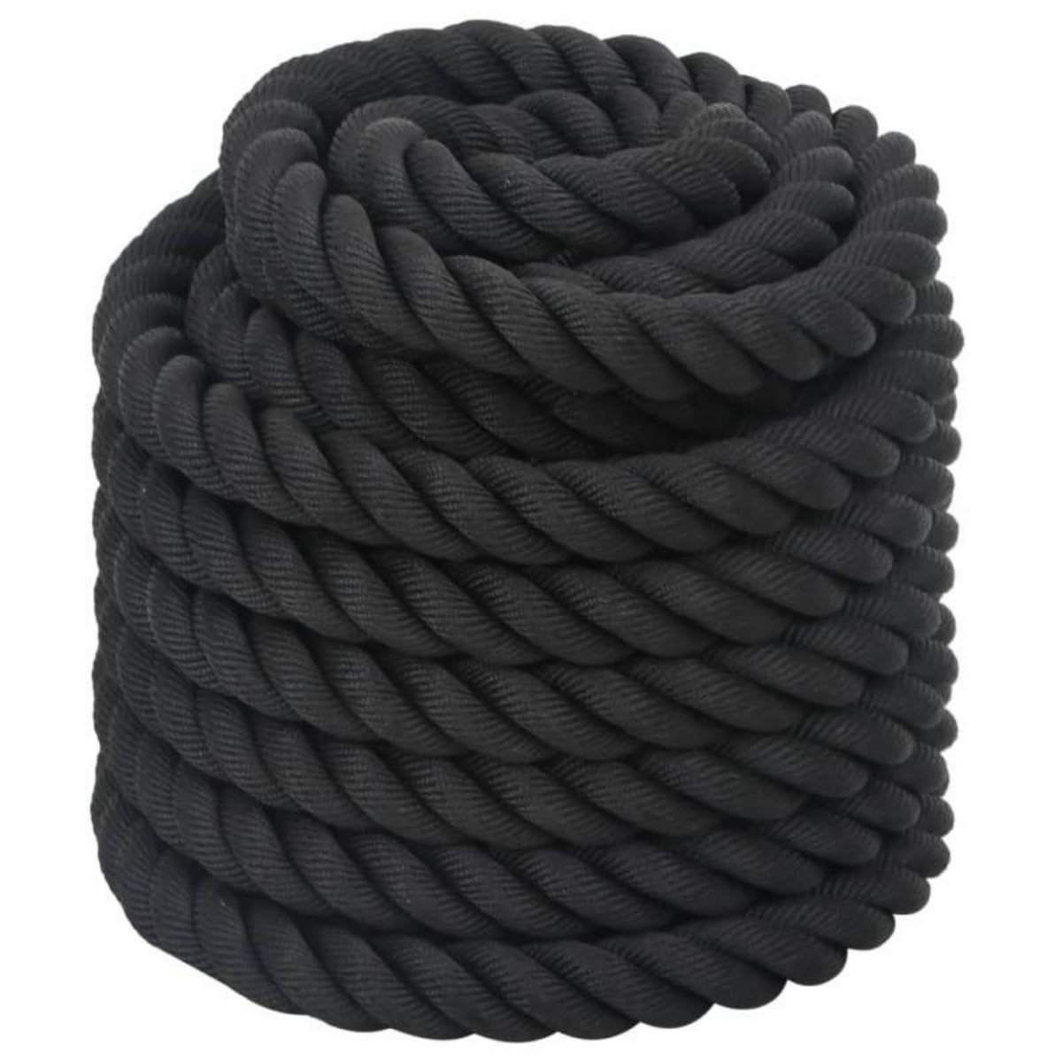 VIDAXL Corde de combat noir 12 m 9 kg polyester