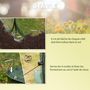 Voir la diapositive 5 : OUTSUNNY Serre pop-up - serre de jardin pop-up - 4 portes zippées enroulables - dim. 2,5L x 1,25l x 1,35H m - sac transport inclus - PVC vert