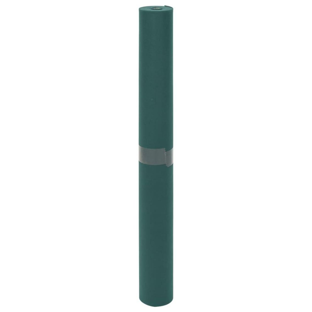 VIDAXL Toison vegetale 2 rouleaux 70 g/m² 10x1,6 m