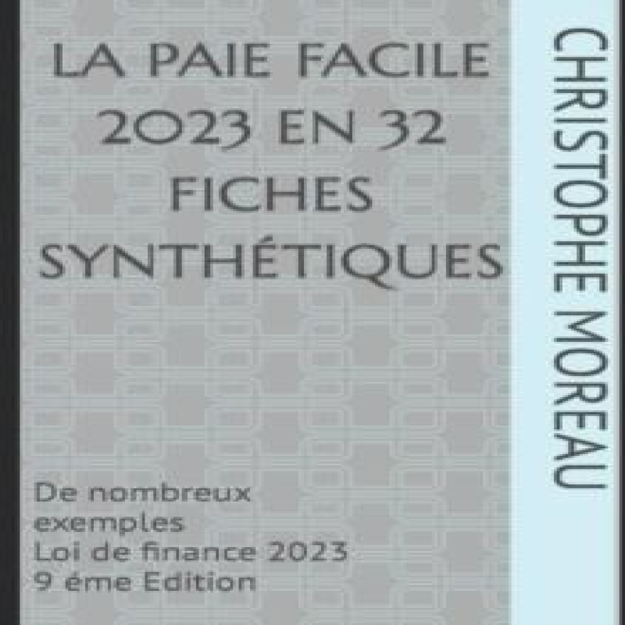 LIVRES LA PAIE FACILE en 32 fiches synthÃ©tiques: De nombreux exemples DerniÃ¨re Loi de finances