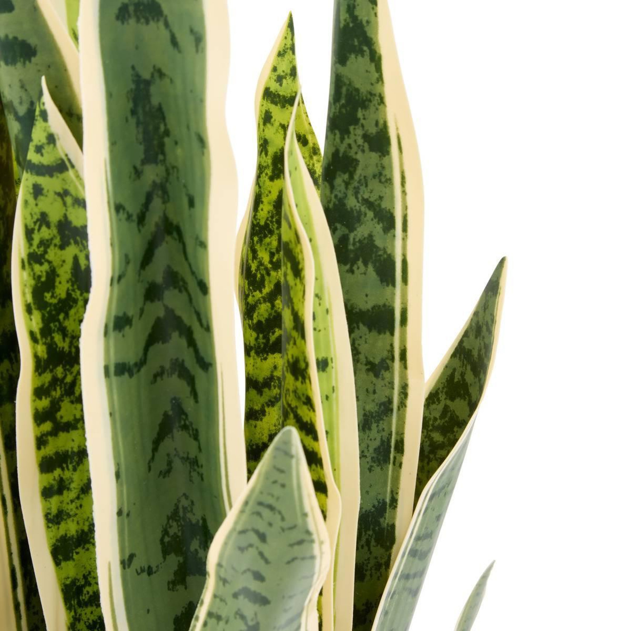 Voir la diapositive 3 : ATMOSPHERA Plante Artificielle en Pot  Sansevieria Nippo  78cm Marron