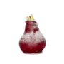 Voir la diapositive 1 : PLANT IN A BOX Amaryllis - Hippeastrum 'Wax Snow Red' - Bulbe de fleur - Rouge