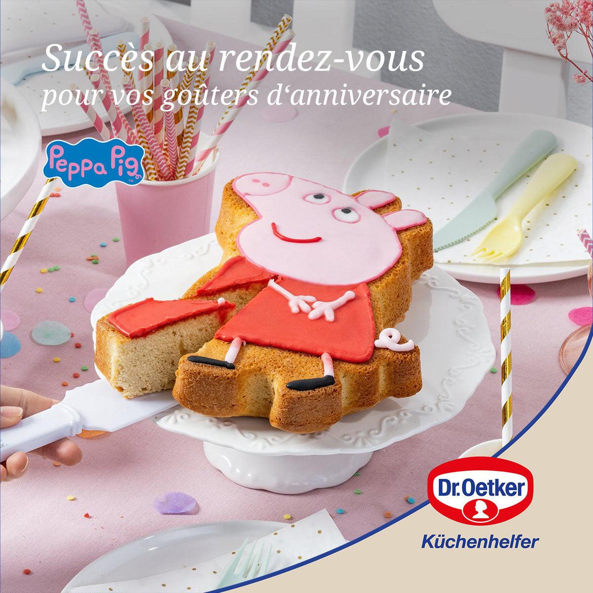 Voir la diapositive 2 : DR.OETKER Moule à gâteau silicone 27 x 20 cm dr. Oetker peppa pig