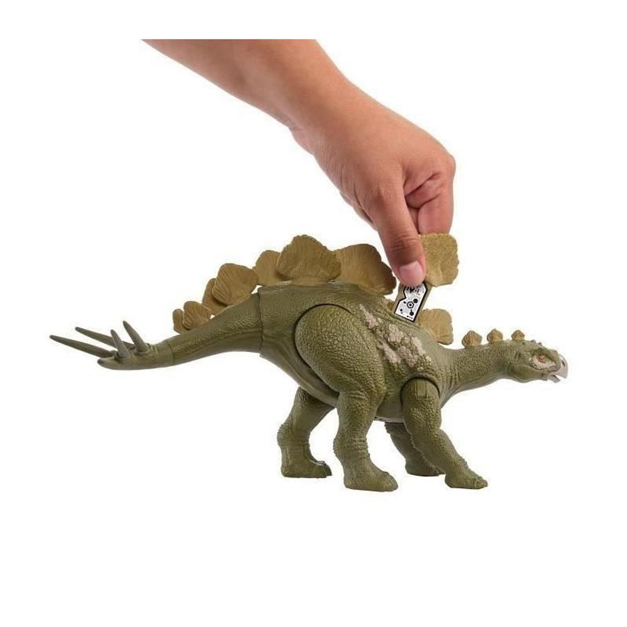 Voir la diapositive 5 : MATTEL HESoeRISAURUS SONORE - MATTEL - HTK69 - DINOSAURE JURASSIC WORLD
