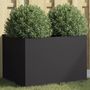 Voir la diapositive 1 : VIDAXL Jardiniere noir 62x47x46 cm acier