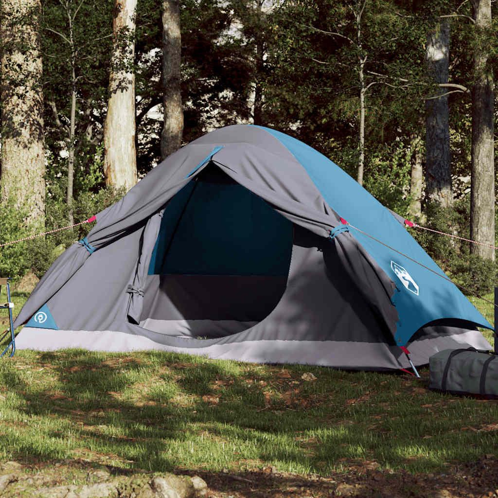 VIDAXL Tente de camping a dome 2 personnes bleu impermeable
