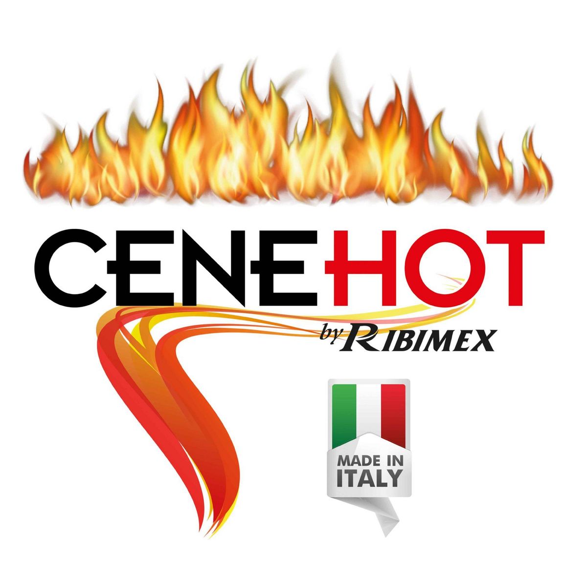 Ribitech Aspirateur à cendres chaudes 18l 950w - prcen008