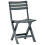 Voir la diapositive 2 : VIDAXL Chaises de jardin pliables lot de 2 Plastique Vert