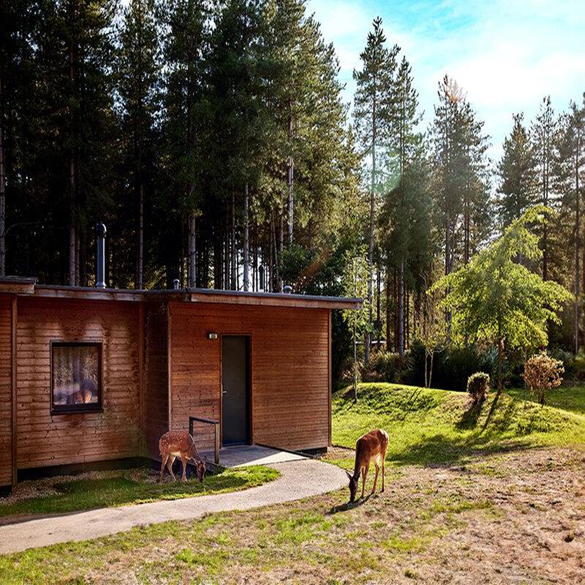 Voir la diapositive 3 : Smartbox Séjour en famille à center parcs - coffret cadeau séjour